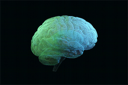 Ein farbiges, animiertes Gehirn in einer Matrix